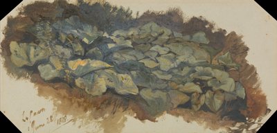 La Cava by Edward Lear